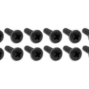 1970-1973 C3 Corvette Tail Light Lens Screws. 12 Piece Set -  #K1001